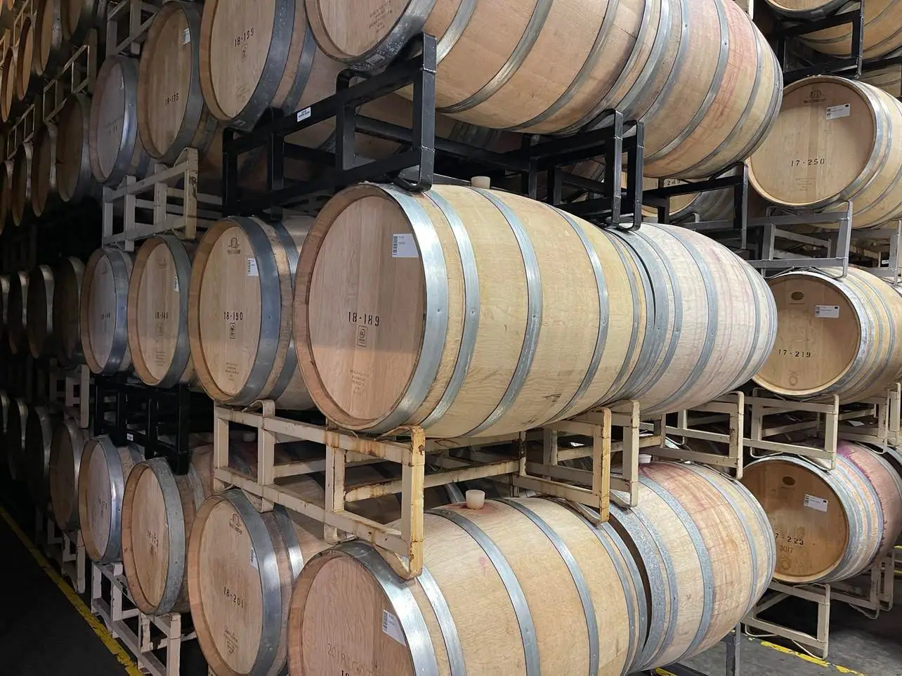 wine barrels in cellar