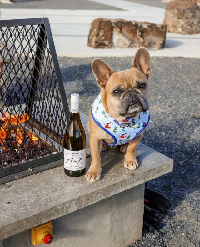 Pairs well with fetch breaks and fresh air.